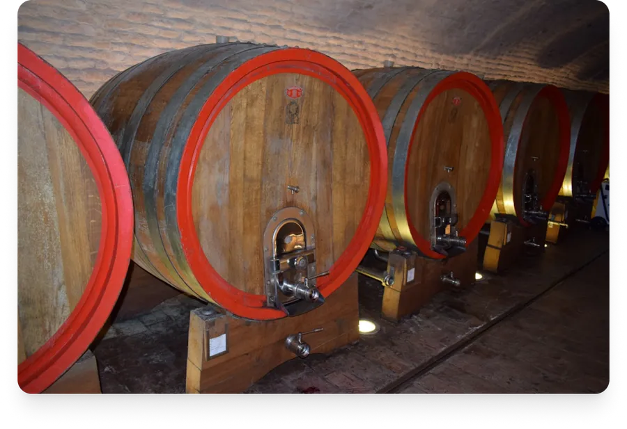 Barricas de vino